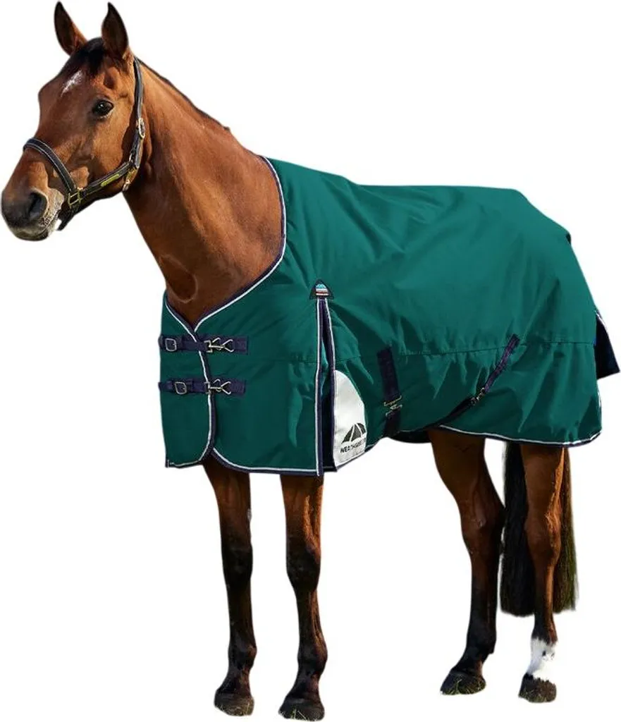 Couverture de Cheval Standard Comfitec Plus Dynamic Weatherbeeta WB2323