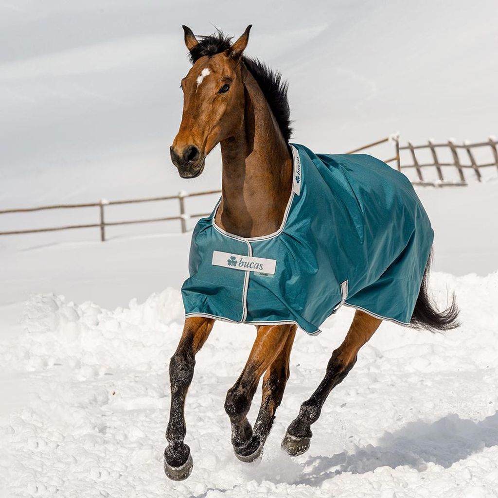 Bucas Outdoordecke 200g Atlantic Turnout Weidedecke Green 115