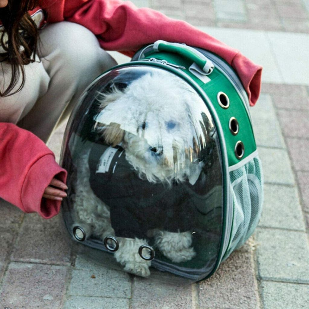 Hunderucksack Hohe Qualität Atmungsaktiv Haustier Hund Katze Tasche Rucksack für Hunde Tragbar Katzen Transporttasche Tragetasche für Hunde M 