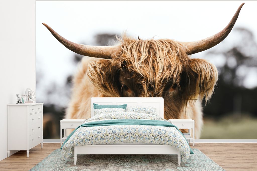 MuchoWow Fototapete für Wohnzimmer oder Schlafzimmer Wandtapete Vinyl Motivtapete Schottischer Highlander - Kuh - Gras - Tiere - Natur - 320x240...