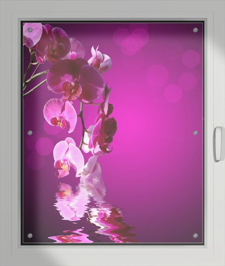 Wallario Lichtschutzbild, Dekorativer Sichtschutz Sonnenschutz 76 x 93 cm mit Motiv: Rosafarbene Orchidee Blüten in pink - Verdunklung ohne Bohren