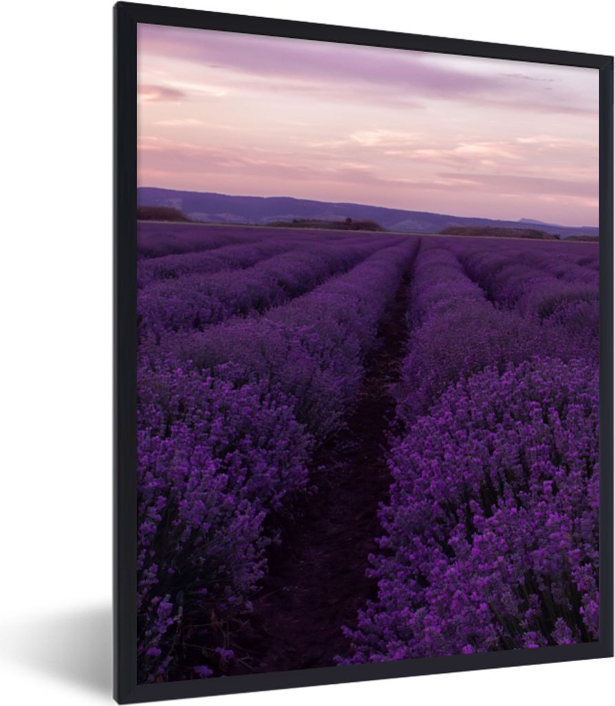 MuchoWow Gerahmtes Poster Lavendel - Lila - Blumen - Natur 60x80 cm - Poster mit Schwarzem Bilderrahmen Wandposter Rahmen Foto Bilder - Premium -...