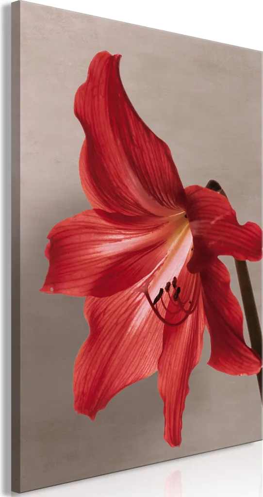 Quadro Zen Fiore Rosso 40x60 cm - Equilibrio e Colore per Interni