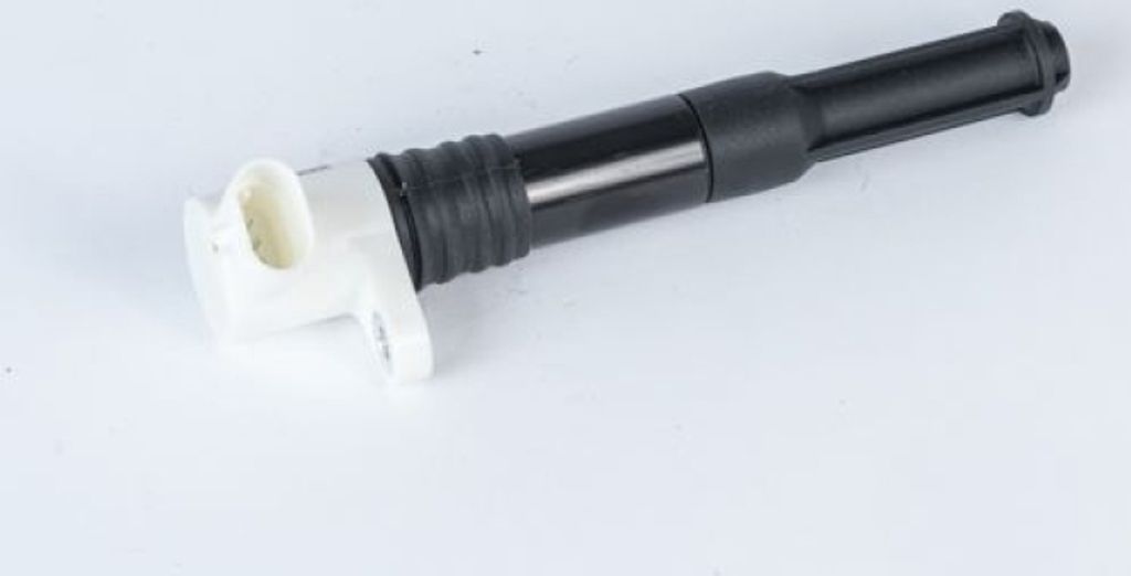 BorgWarner (BERU) Zündspule ZSE219