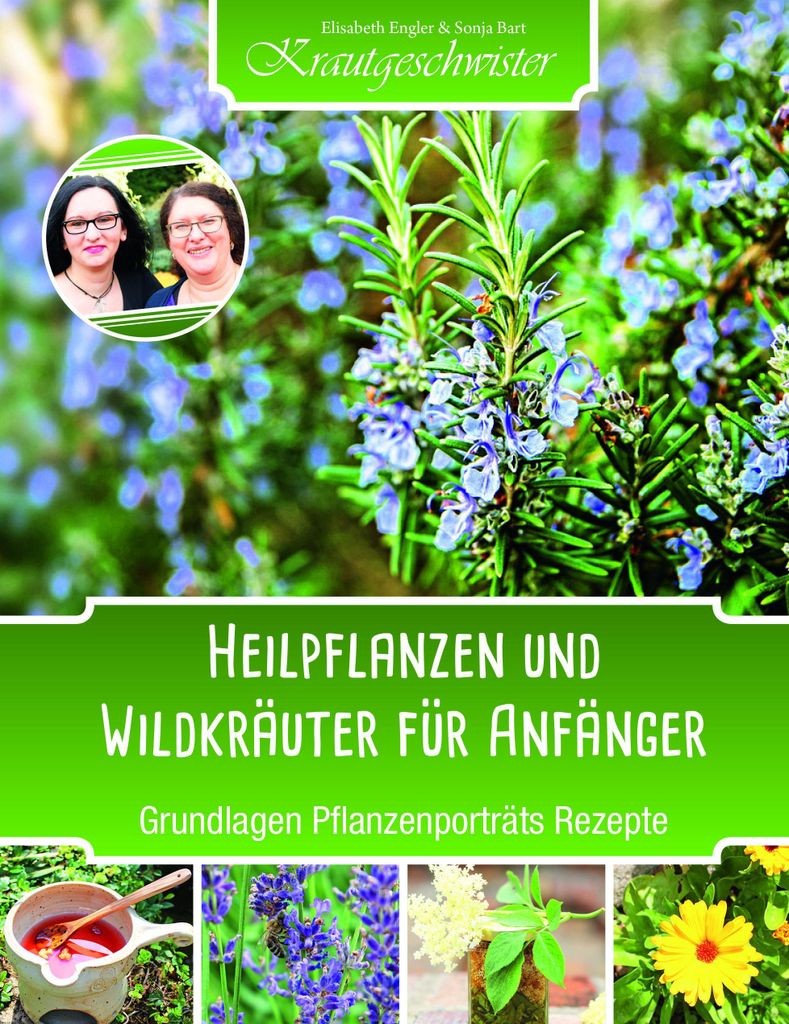 Heilpflanzen und Wildkräuter für Anfänger: Grundlagen und Produktbild 