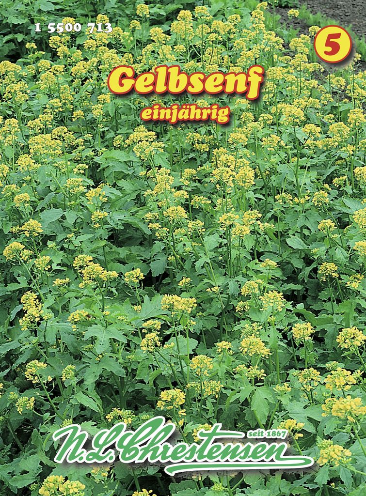 Gelbsenf | Gründünger von N.L. Chrestensen