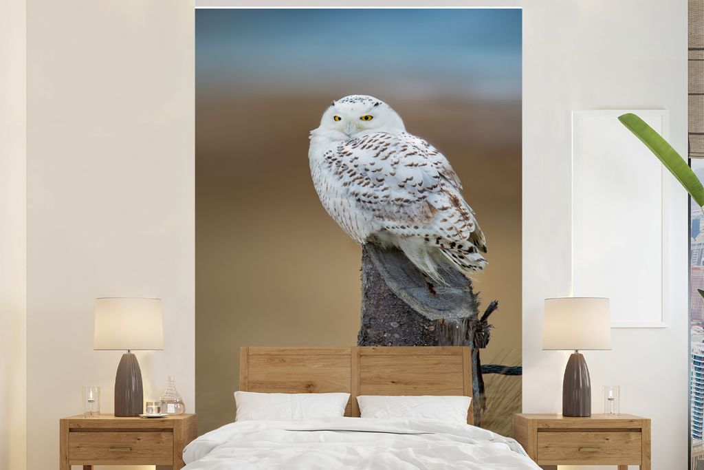 MuchoWow Fototapete für Wohnzimmer oder Schlafzimmer Wandtapete Vinyl Motivtapete Schneeeule auf einem Baumstumpf sitzend - 145x220 cm - Wanddek...
