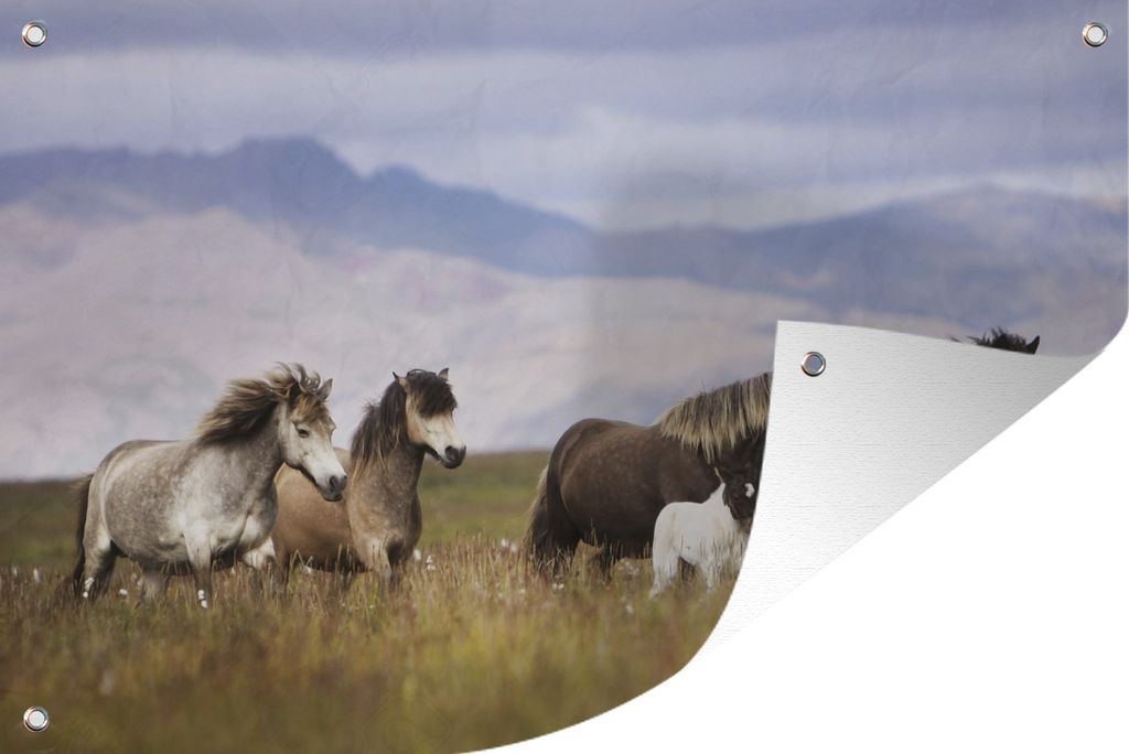 MuchoWow 90x60 cm Outdoor-Poster Gartendeko Sichtschutz Garten Poster für den Garten Pferde - Gras - Berge