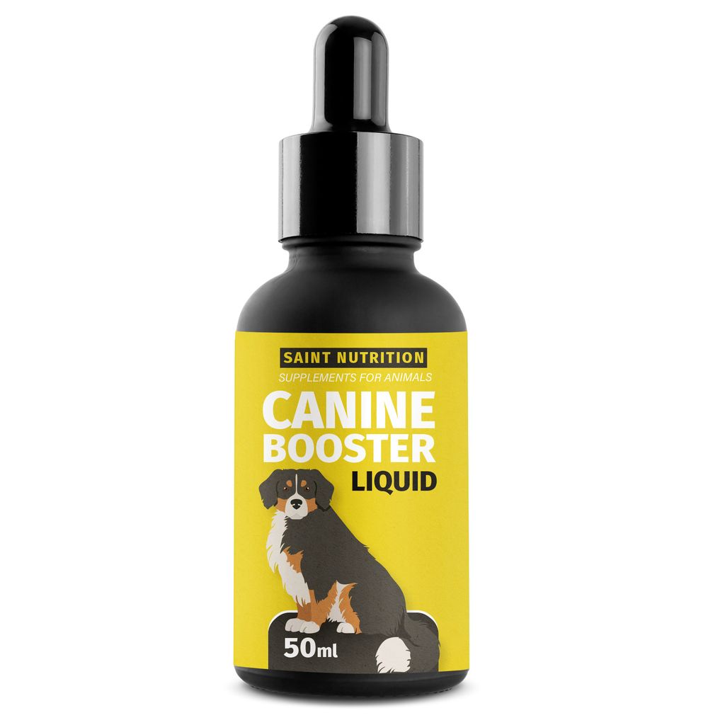 Saint Nutrition Canine Booster – Gelenkgesundheit – für Hunde – bessere Beweglichkeit der Gelenke mit Mariendistelöl – stärkere Zähne