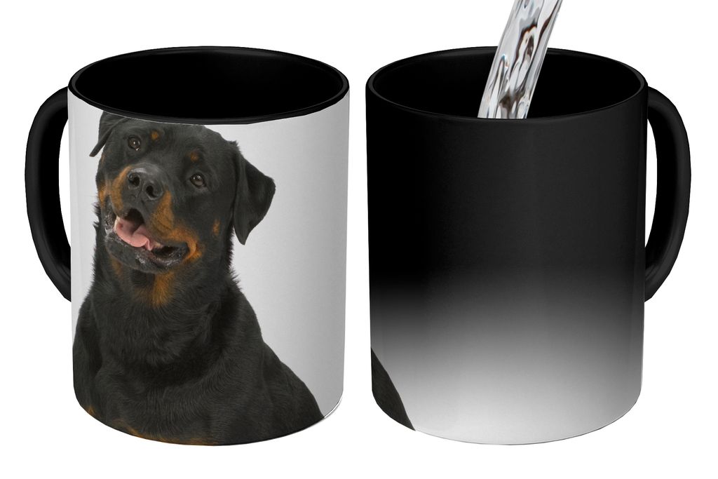 KitchenYeah Zauber Tasse Zaubertasse Magic Rottweiler auf weißem Hintergrund 350 ml Farbwechsel Becher Geschenk Geschenkidee - Magic-Tasse - Fot...