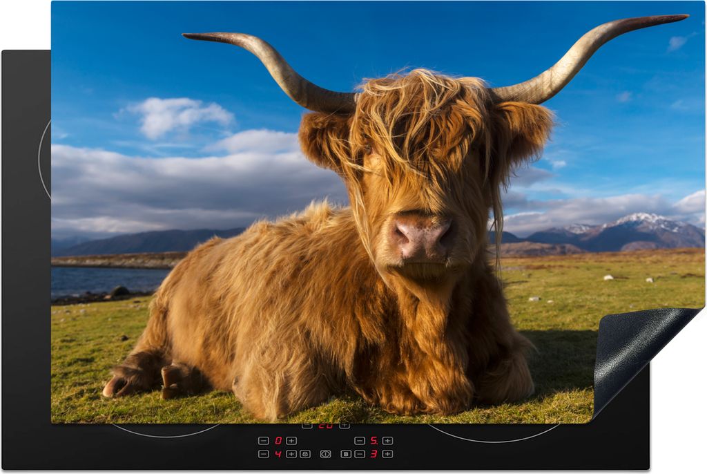 KitchenYeah Herdabdeckplatte Schottische Highlander - Tiere - Gras , 81x52cm, Küche Deko, Ceranfeld Herdabdeckung, Abdeckplatte fùr Kochfeld