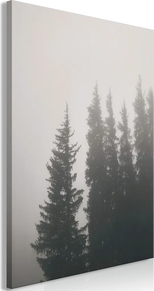 Quadro su Tela Foresta Misticismo - Odore di nebbia - Arredo Soggiorno