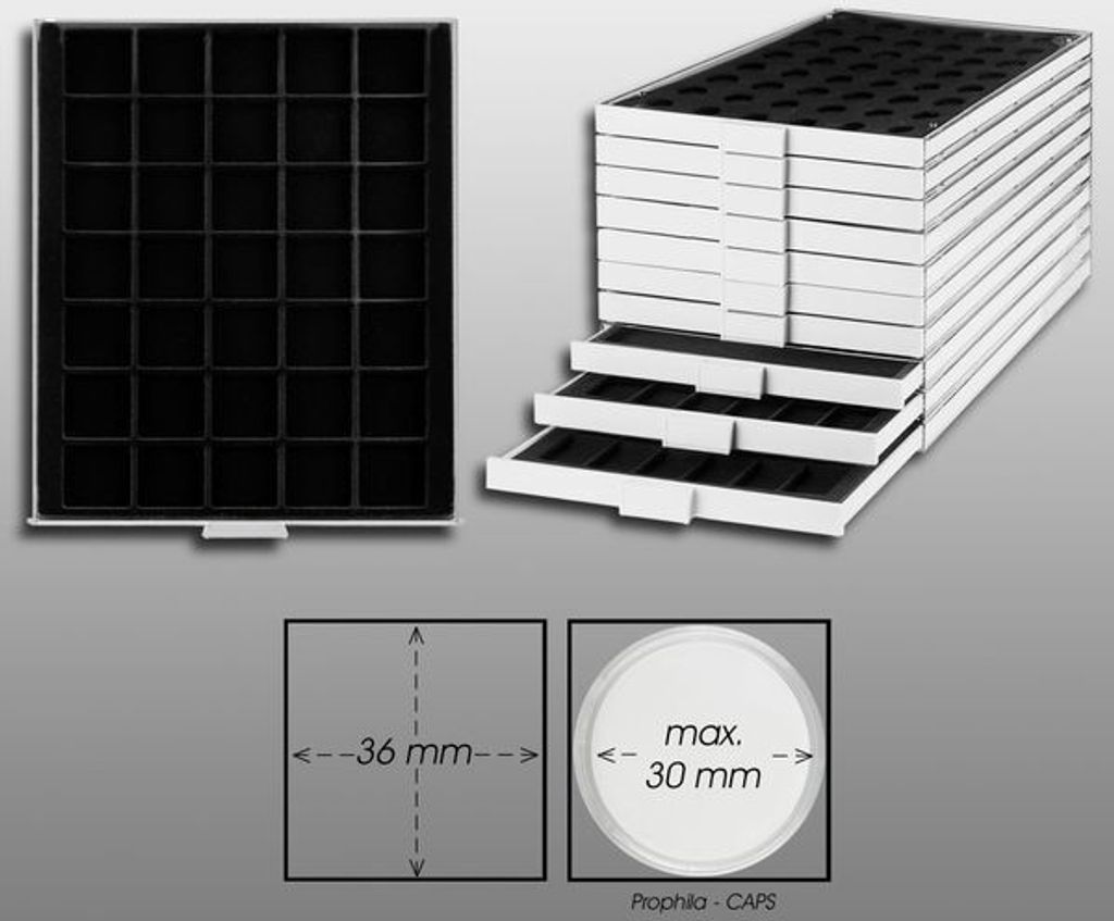 Prophila Collection Münzbox grau 35 eckige Fächer für Münzen bis 36mm, Schwarze Einlage z. B. 10 DM, 10 Euro, 5 Rubel