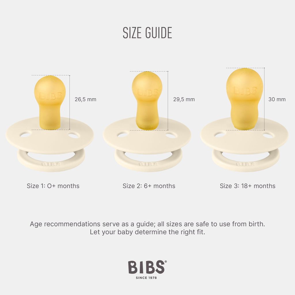 BIBS Colour Schnuller, 6-18 Monate, 2er-Pack, runder Produktbild 