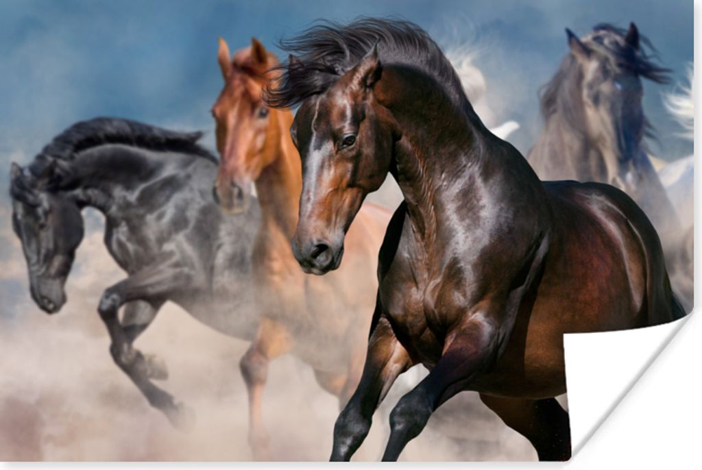 MuchoWow Poster Pferde - Stoff - Wüste 90x60 cm - Schlafzimmer