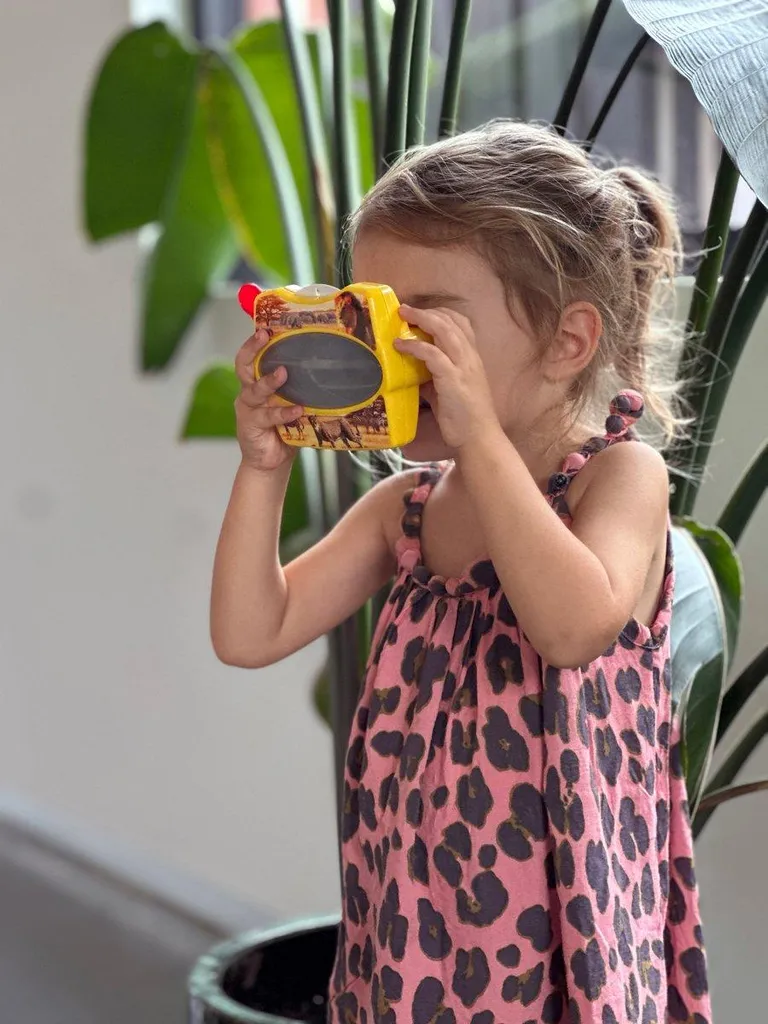 Visionneuse 3D Enfant Animaux Sauvages : Jouet Éveil Écologique en Carton
