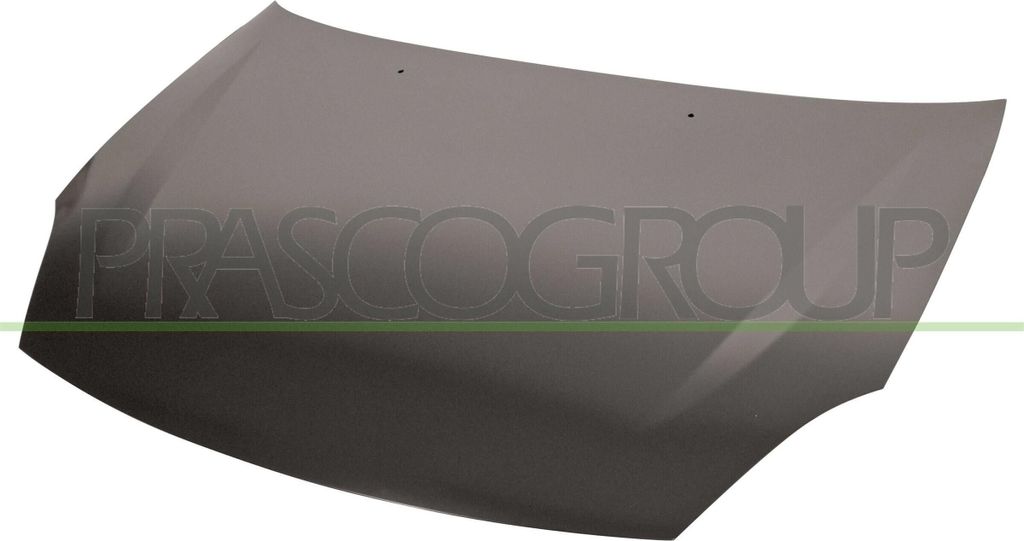 PRASCO RN4043100 Motorhaube für RENAULT THALIA II (LU1/2)