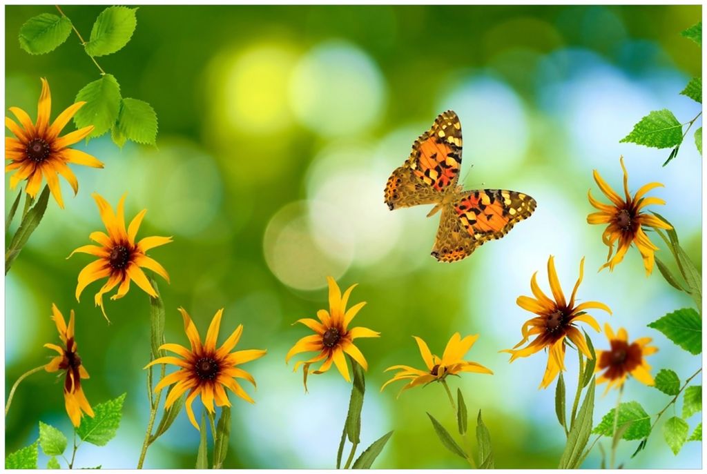 Wallario Premium Glasbild, freischwebende Optik, kräftige Farben, Größe 90 x 60 cm Motiv Blumen mit Schmetterling