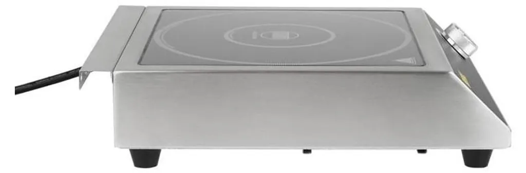 Buffalo Plaque de Cuisson à Induction 3000W - Modèle Haute Puissance CE
