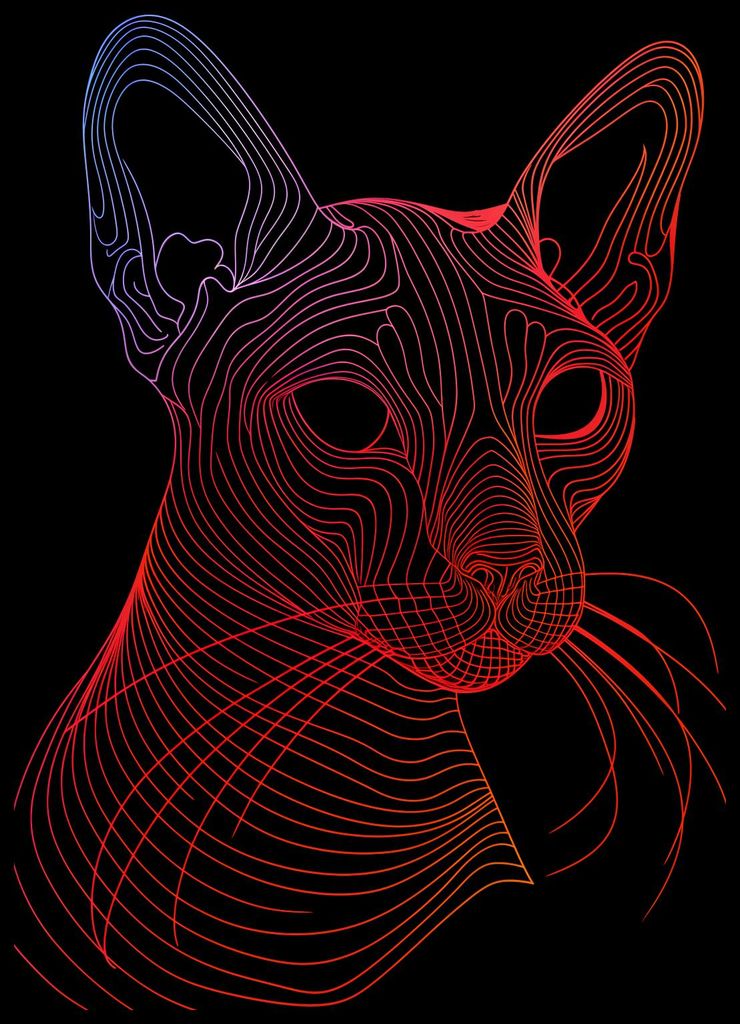 Plakat 50x70cm Digitale Katze