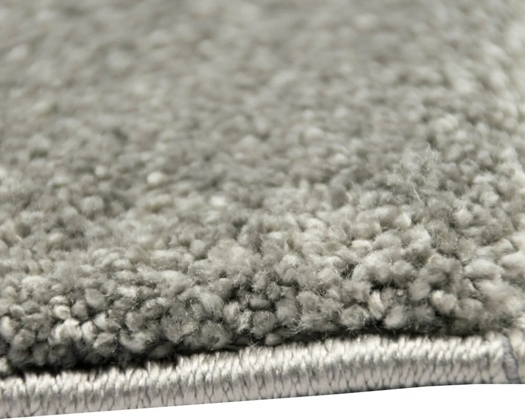 Grand Tapis de Salon Anthracite 200x290 cm Facile à Nettoyer et Durable
