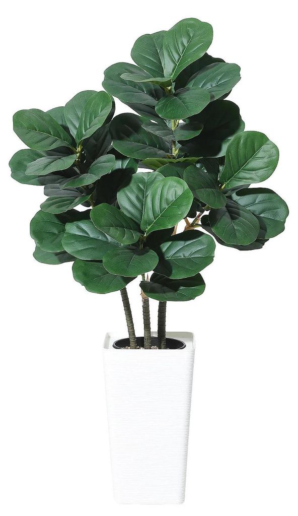 Künstliche Geigenfeige (Ficus lyrata) - Bodenpflanze - Für draußen - Harz - Größe L - Für Ausstellung & Jubiläum - Tiefrosa
