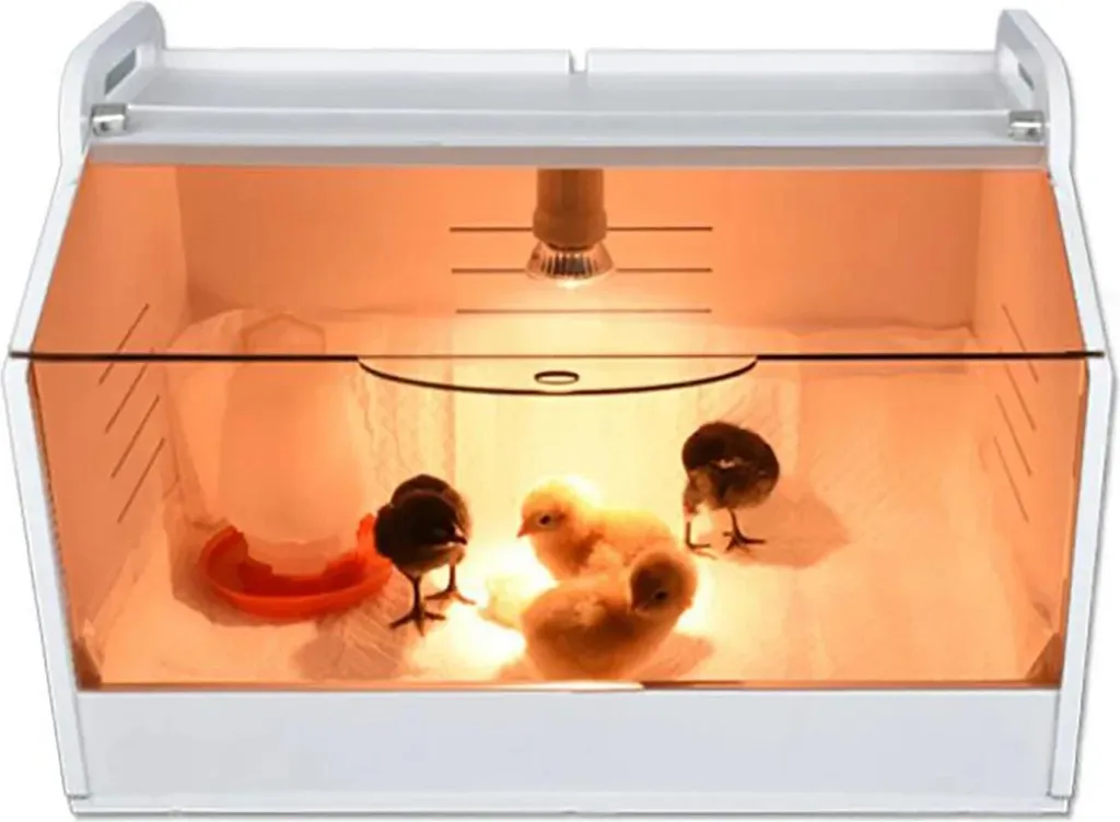 Lampe chauffante poussins contre le froid en couveuse secteur 220V