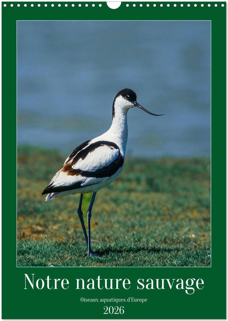Notre nature sauvage, oiseaux aquatiques d'Europe (Calendrier mural 2026 DIN A3 horizontal), CALVENDO calendrier mensuel