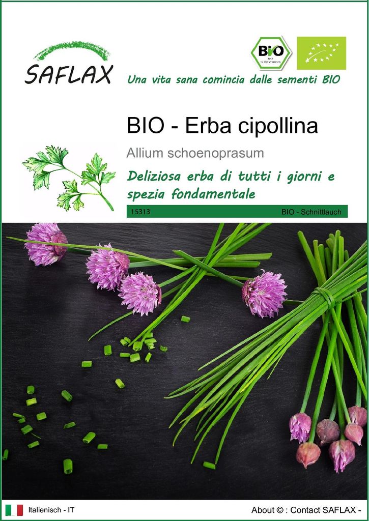 SAFLAX  -- Erba cipollina - 250 semi - Allium Immagine del prodotto 