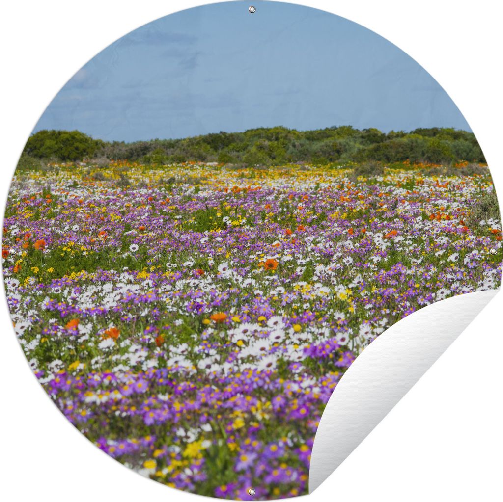 MuchoWow Gartenposter Outdoor-Poster Rund Blumenwiese - Lila - Blumen Ø 60 cm Gartendeko Rundes Poster draußen