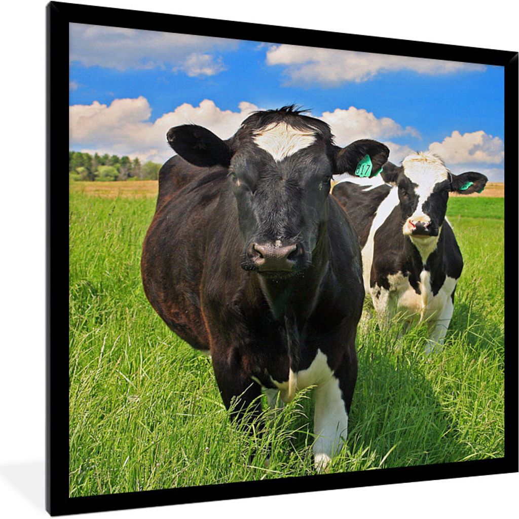 MuchoWow Gerahmtes Poster Kuh - Gras - Natur - Tiere 60x80 cm - Poster mit Schwarzem Bilderrahmen Wandposter Rahmen Foto Bilder - Premium - Wandd...
