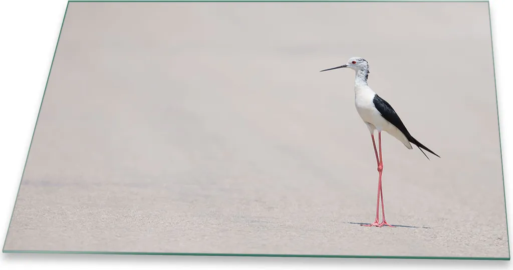 Piastra Copri Piano Cottura 80x52 Bird White | Vetro Temperato Antigraffio