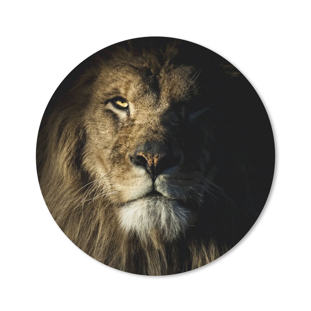MuchoWow Mauspad Mousepad Löwe - Licht - Schwarz 40x40 cm - Mousepads - Maus Mat - Pad - Mausunterlage - Schreibtisch Accessoires