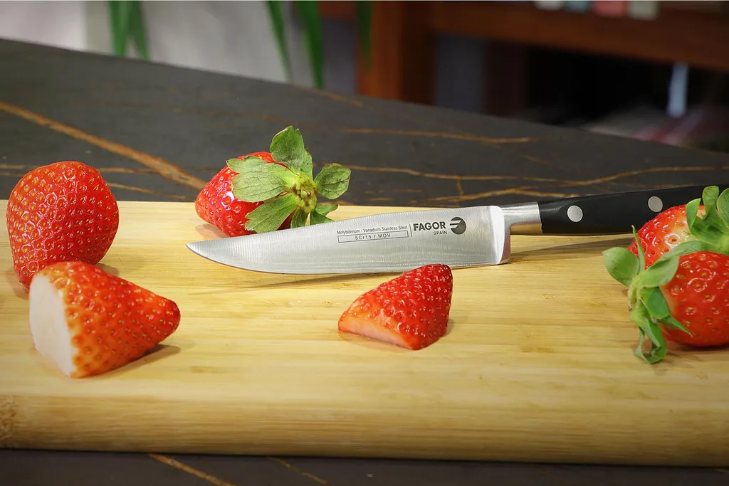 Recensione FAGOR Couper Spelucchino 10 cm Acciaio Inox Professionale