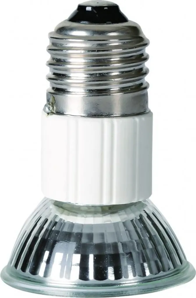 Lampe Chauffante Halogène Repti-Zoo 20W - Éclairage Thermique pour Habitat