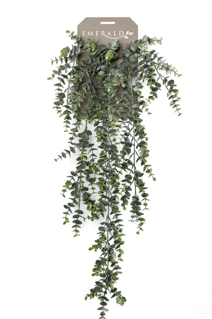 künstlicher Eucalyptus hängend mit 5 Ranken grün L. 75cm Produktbild 