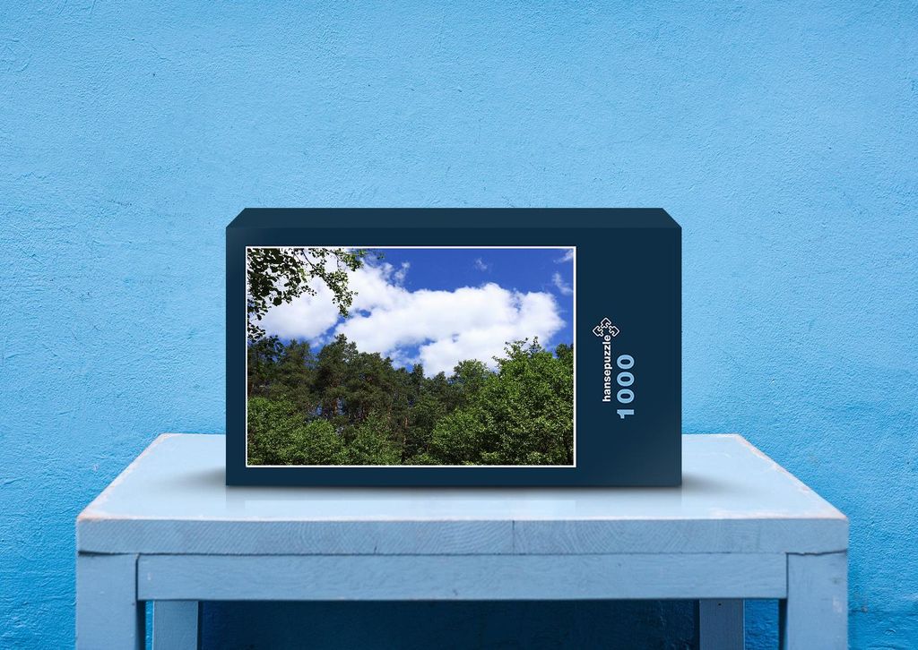 hansepuzzle 38857 - Wald Puzzle, 1000 Teile, Reisen, 60,0 x 46,0cm mit hochwertiger Aufbewahrung, Kartonbox und wiederverschließbarem Beutel