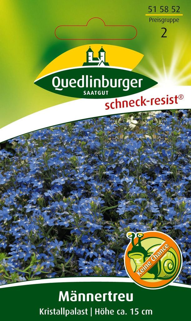 Quedlinburger Saatgut - Männertreu Kristallpalast - Samen - Produktbild 