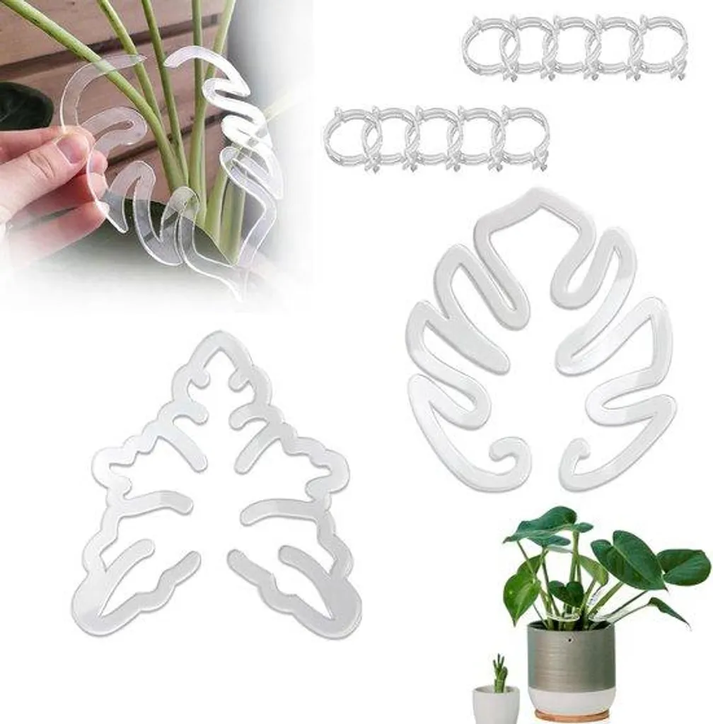 Support pour Monstera : redressez vos plantes d'intérieur - 24 tuteurs