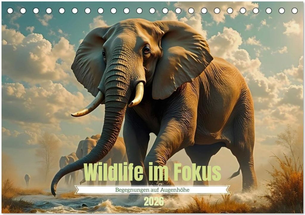 Wildlife im Fokus - Begegnungen auf Augenhöhe (Tischkalender 2026 DIN A5 quer), CALVENDO Monatskalender