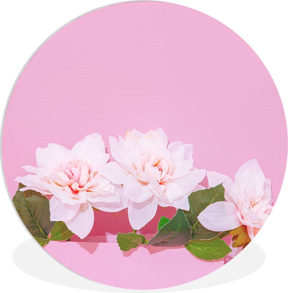 MuchoWow Rundes Wandbild - Runde Bilder Blüte - Sommer - Rosa Ø 60 cm Kreis Wanddekoration Kunststoff - Wandkreis - Wandschmuck - Wand Kreis - ...