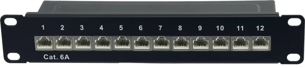 Panneau de brassage 10" 12 ports Cat.6a - Solution câblage propre