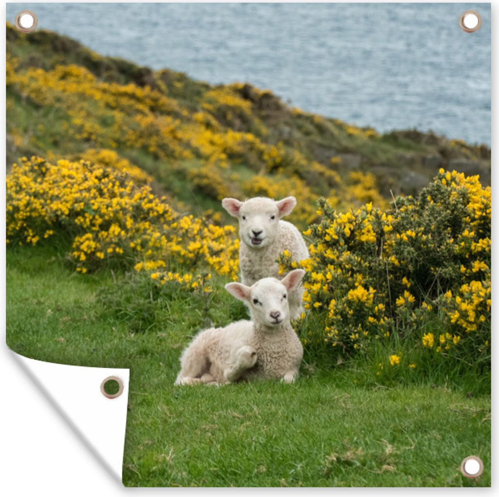 MuchoWow® 100x100 cm Outdoor-Poster Gartendeko Sichtschutz Produktbild 