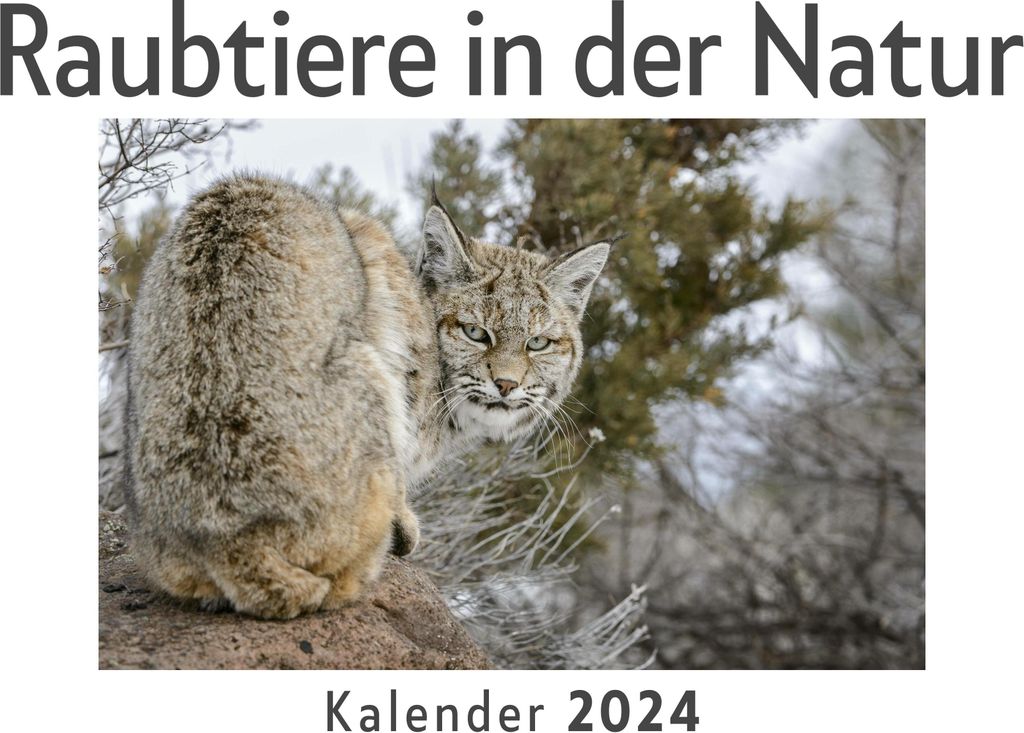 Raubtiere in der Natur (Wandkalender 2024, Kalender DIN A4 quer, Monatskalender im Querformat mit Kalendarium, Das perfekte Geschenk)