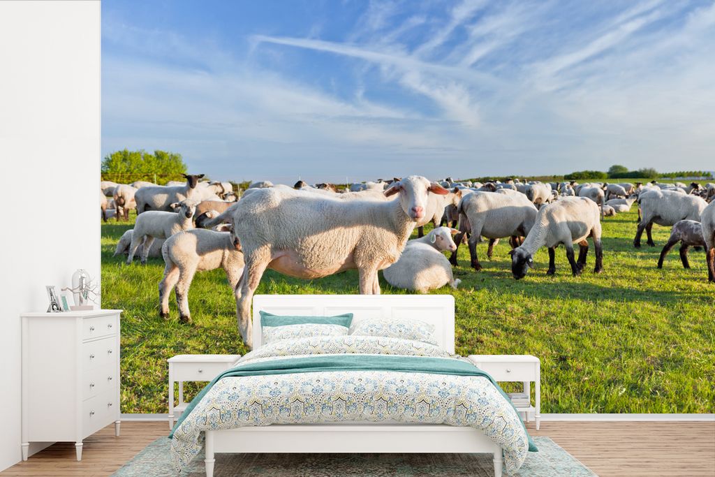 MuchoWow Fototapete für Wohnzimmer oder Schlafzimmer Wandtapete Vinyl Motivtapete Schafe - Weiß - Wolle - 420x280 cm - Zimmer für Kinder