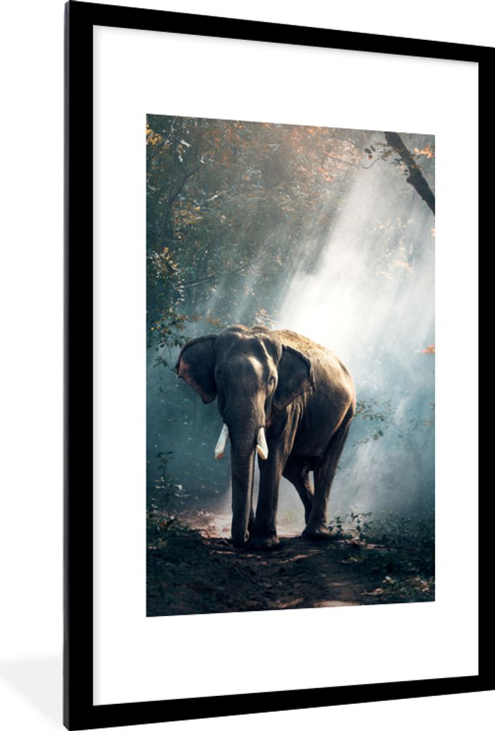 MuchoWow Gerahmtes Poster Elefant - Tiere - Licht - Wald - Natur - Wildtiere 60x90 cm - Poster mit Schwarzem Bilderrahmen Wandposter Rahmen Foto ...