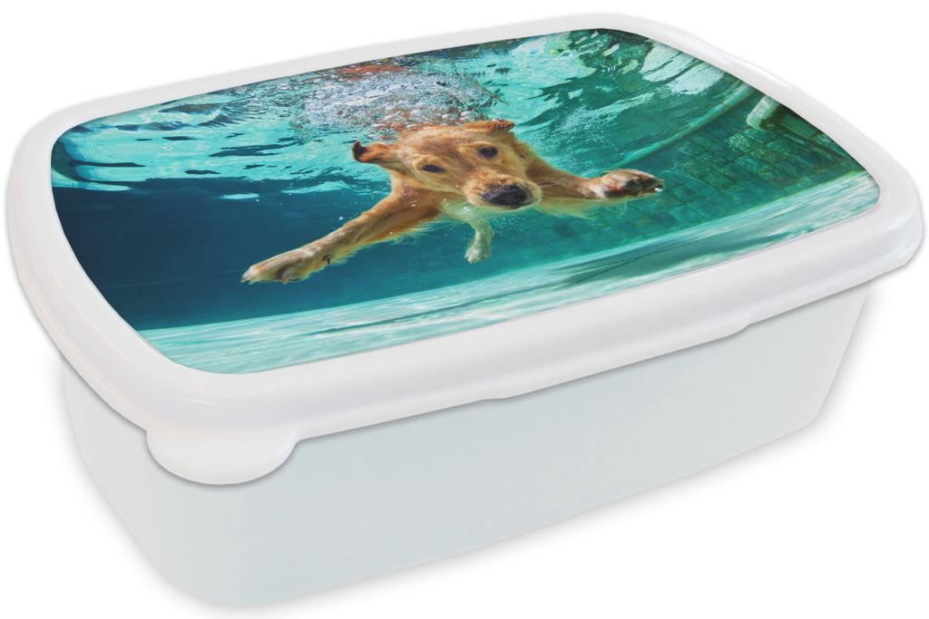 KitchenYeah Lunchbox Brotzeit Brotdose 17x11 cm Pool - Hund - Wasser Kinder Brotzeitdose - Lunch Box - Kinder - Sandwich-Box - Schulbox - Lunch B...