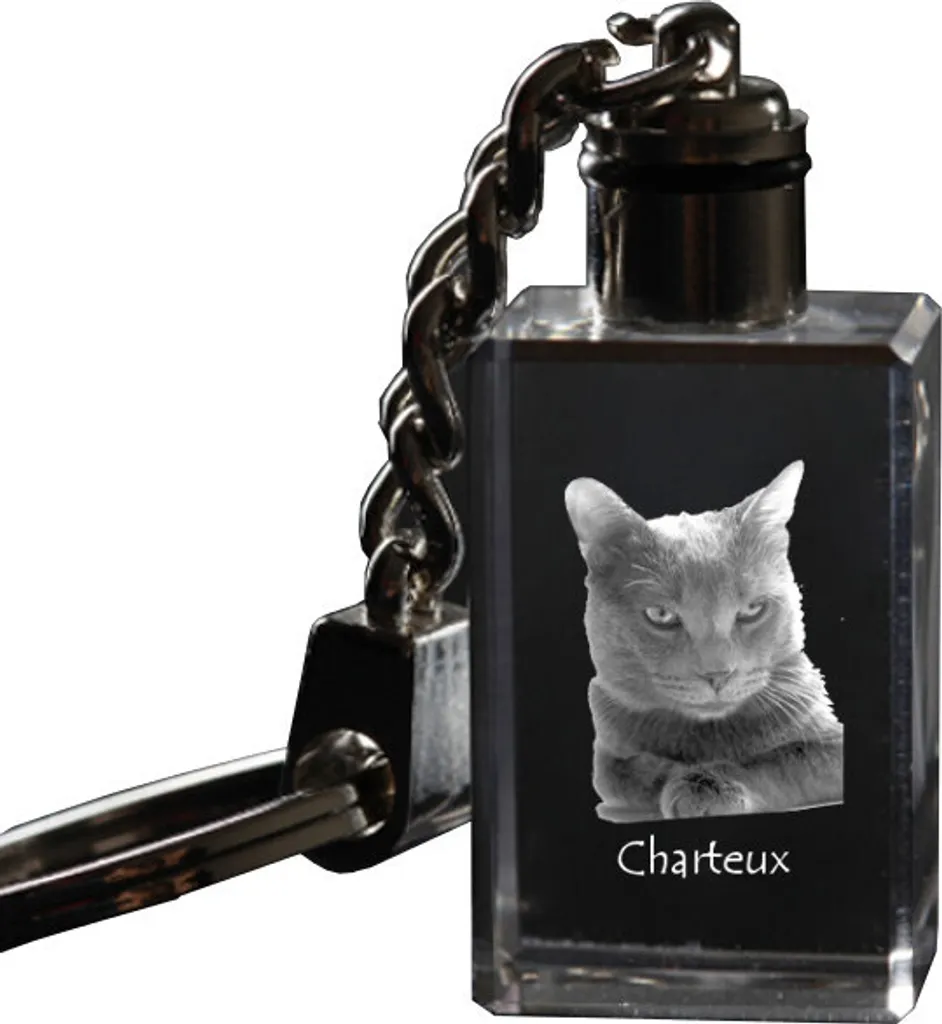 Horloge Murale Chat Chartreux contre les Murs Vides - Étagère Déco