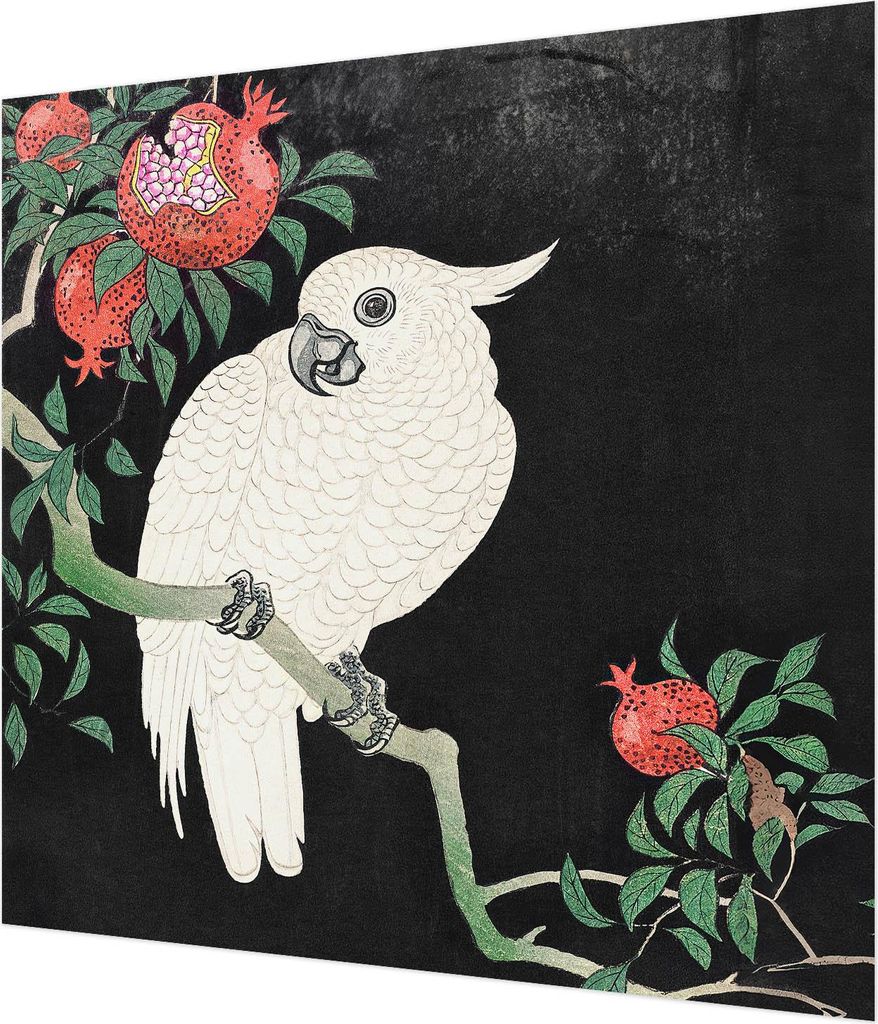 Wandtapete - Dekorative Tapete für Wohnzimmer - Tapetenfolie für Wanddekoration - 250x250 cm - Granatapfelpapagei