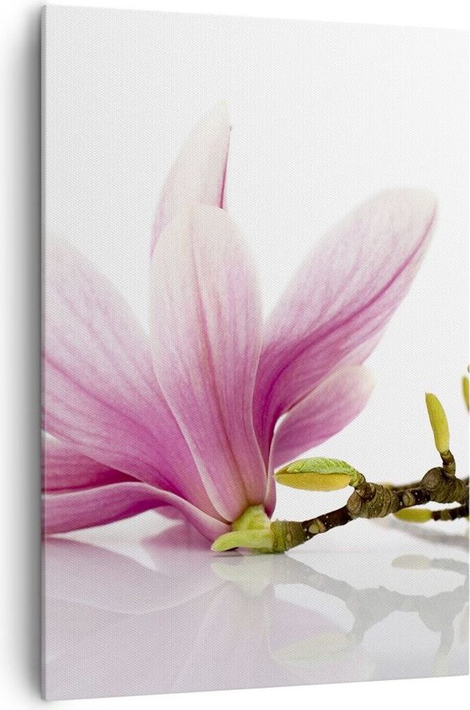 Bild auf Leinwand - Leinwandbild - Einteilig - Magnolie blume natur pflanze - 70x100cm - Wand Bild - Wanddeko - Wandbilder - Leinwanddruck - Wandde...